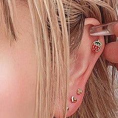 Steel Threadless Push In Strawberry Tragus Labret