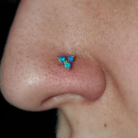 G23 Titanium Prong Set Trinity Opal Nose Screw
