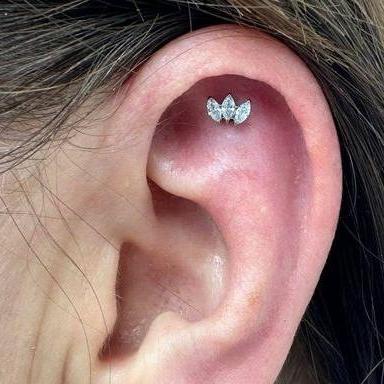 G23 Titanium Threadless Push In Marquise Fan CZ Tragus Labret