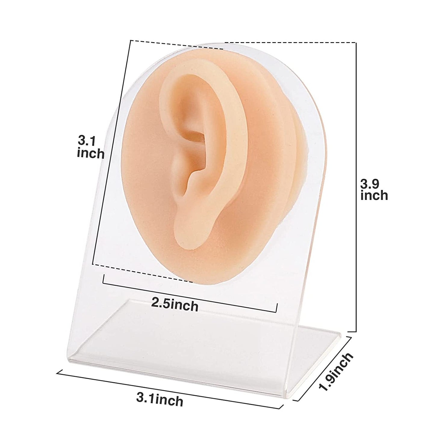 Light Skin Silicone Body Part Display with Stand