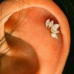 Steel Prong Set 5 Marquise CZ Cluster Ear Tragus Barbell