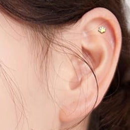 G23 Gold PVD Titanium Internally Threaded Paw CZ Tragus Labret
