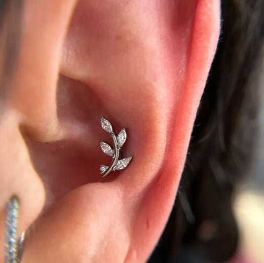 G23 Titanium Internally Threaded 5 CZ Leaf Tragus Labret