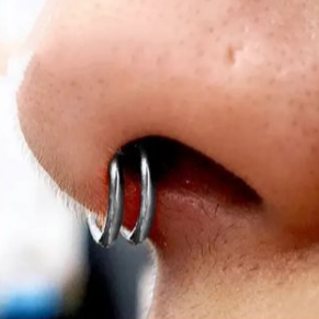 G23 Titanium Double Row Hinged Segment Clicker