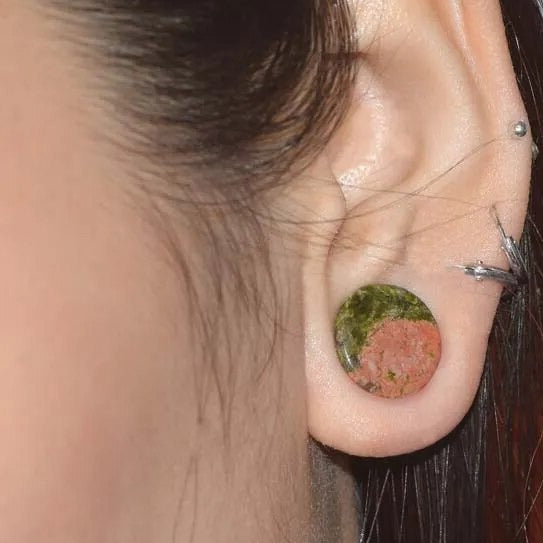 Unakite Stone Double Flare Plugs