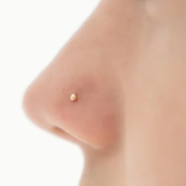 G23 Gold PVD Titanium Ball Nose Stud