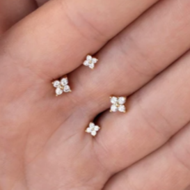 G23 Titanium Internally Threaded 4 CZ Clover Leaf Tragus Labret