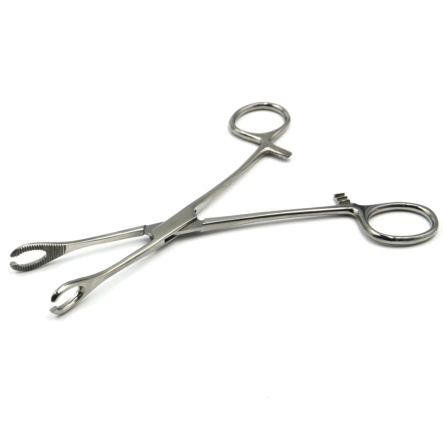 Premium Slotted Sponge Forceps
