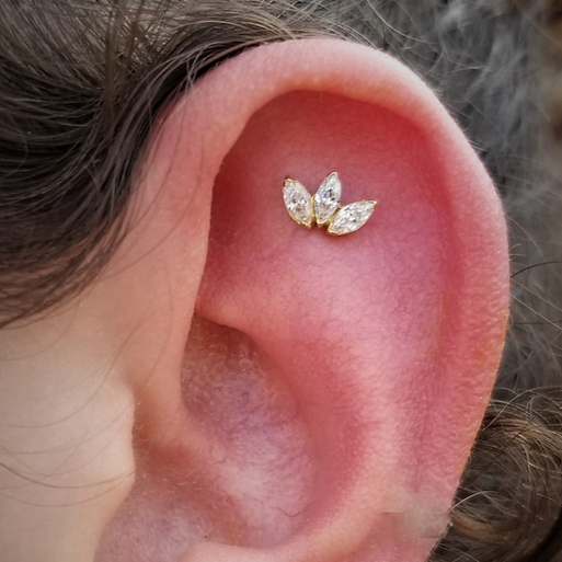 Gold Ion Plated Top Steel Threadless Push In 3 Marquise Fan CZ Tragus Labret
