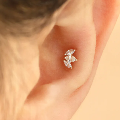 G23 Titanium Threadless Push In Marquise Fan CZ Tragus Labret