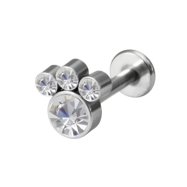 G23 Titanium Internally Threaded Paw CZ Cluster Tragus Labret