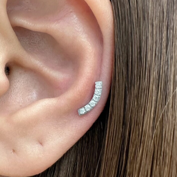 Steel Threadless Push In Curved Bar 6 CZ Tragus Labret