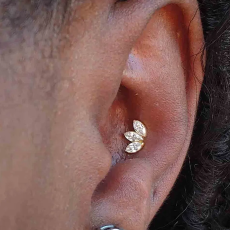 Gold Ion Plated Top Steel Threadless Push In 3 Marquise Fan CZ Tragus Labret