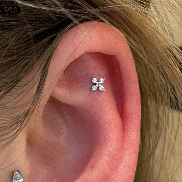 G23 Titanium Threadless Push In Micro CZ Clover Leaf Labret