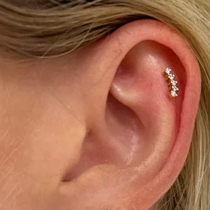 Steel Threadless Push In Micro 5 CZ Cluster Tragus Labret