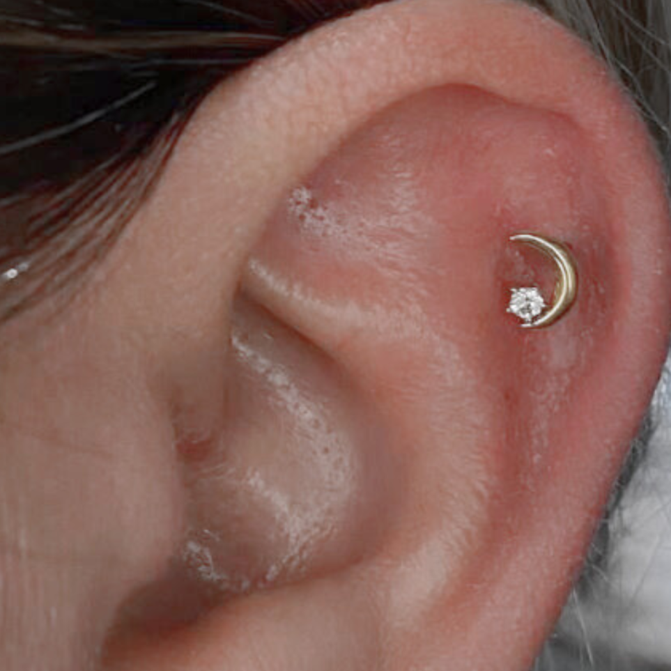 Steel Threadless Push In Half Moon Prong Set CZ Tragus Labret