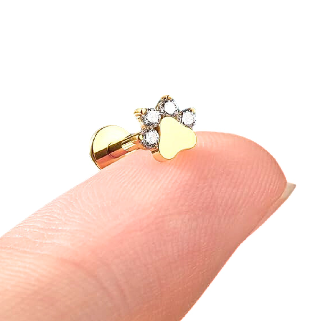 G23 Gold PVD Titanium Internally Threaded Paw CZ Tragus Labret