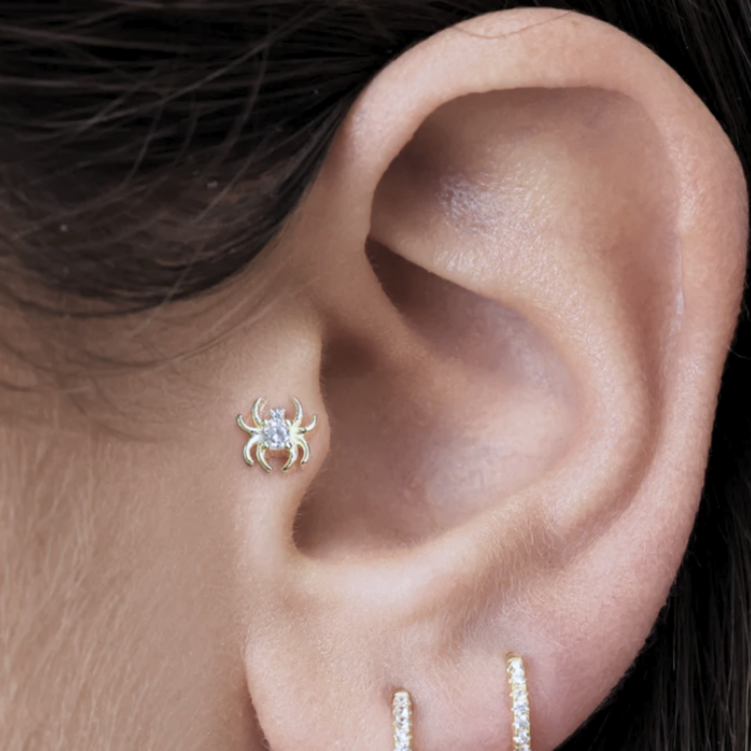 Steel Threadless Push In CZ Spider Top Labret