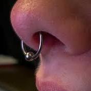 G23 Titanium Fixed Captive Bead Hoop Hinged Clicker Ring