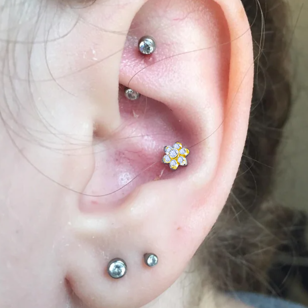 G23 Gold PVD Titanium Internally Threaded Bezel Set CZ Flower Tragus Labret