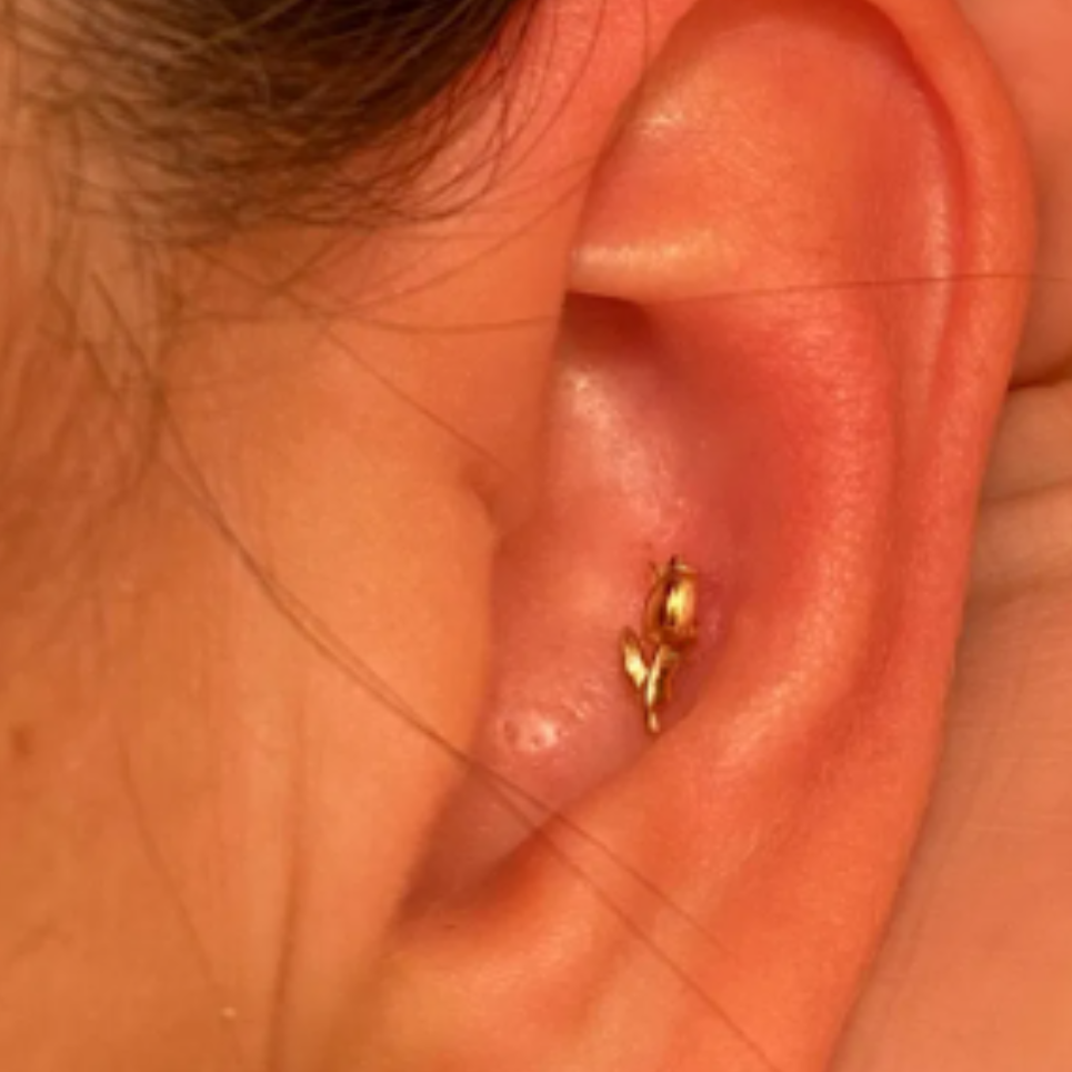 G23 Gold PVD Titanium Internally Threaded 3D Rose Tragus Labret