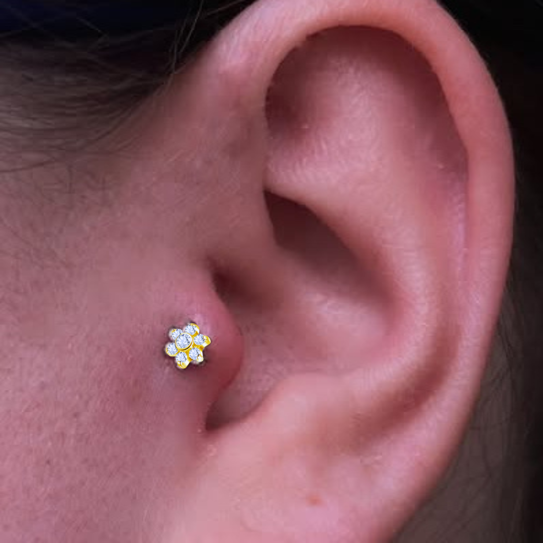G23 Gold PVD Titanium Threadless Push In Bezel Set CZ Flower Labret