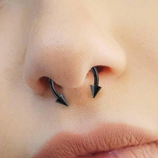 Ion Plated Steel Spike Horseshoe Circular