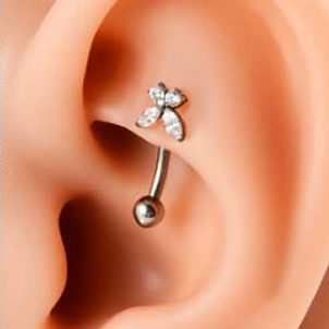 G23 Titanium Internally Threaded Butterfly CZ Curved Barbell