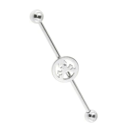 Steel Skull Logo Industrial Barbell