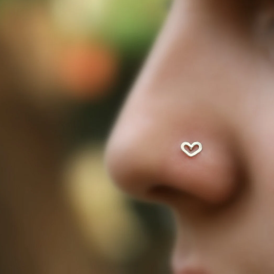 Steel Hollow Heart Nose Screw