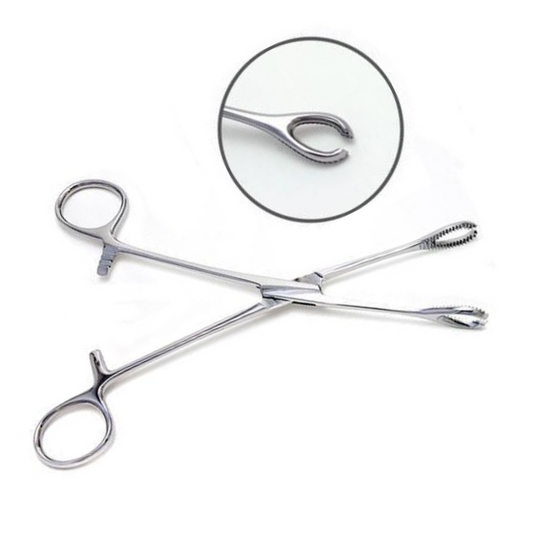 Premium Slotted Sponge Forceps