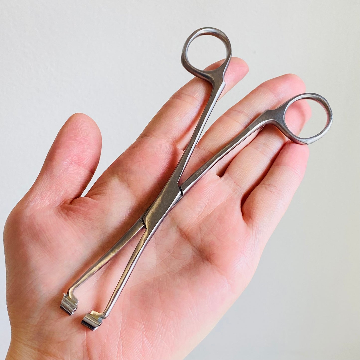 Premium Septum Clamp Forceps 6.5"