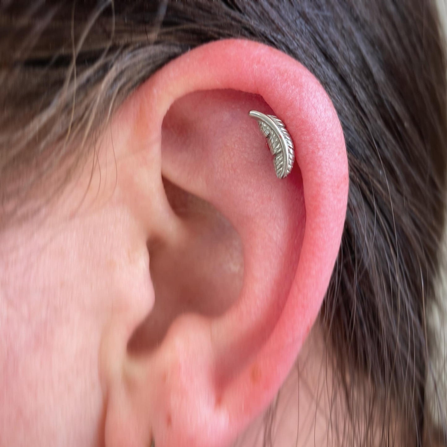 G23 Titanium Threadless Push In Feather Leaf Labret