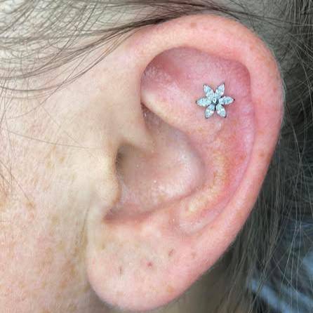 Internally Threaded Steel Marquise CZ Flower Tragus Labret