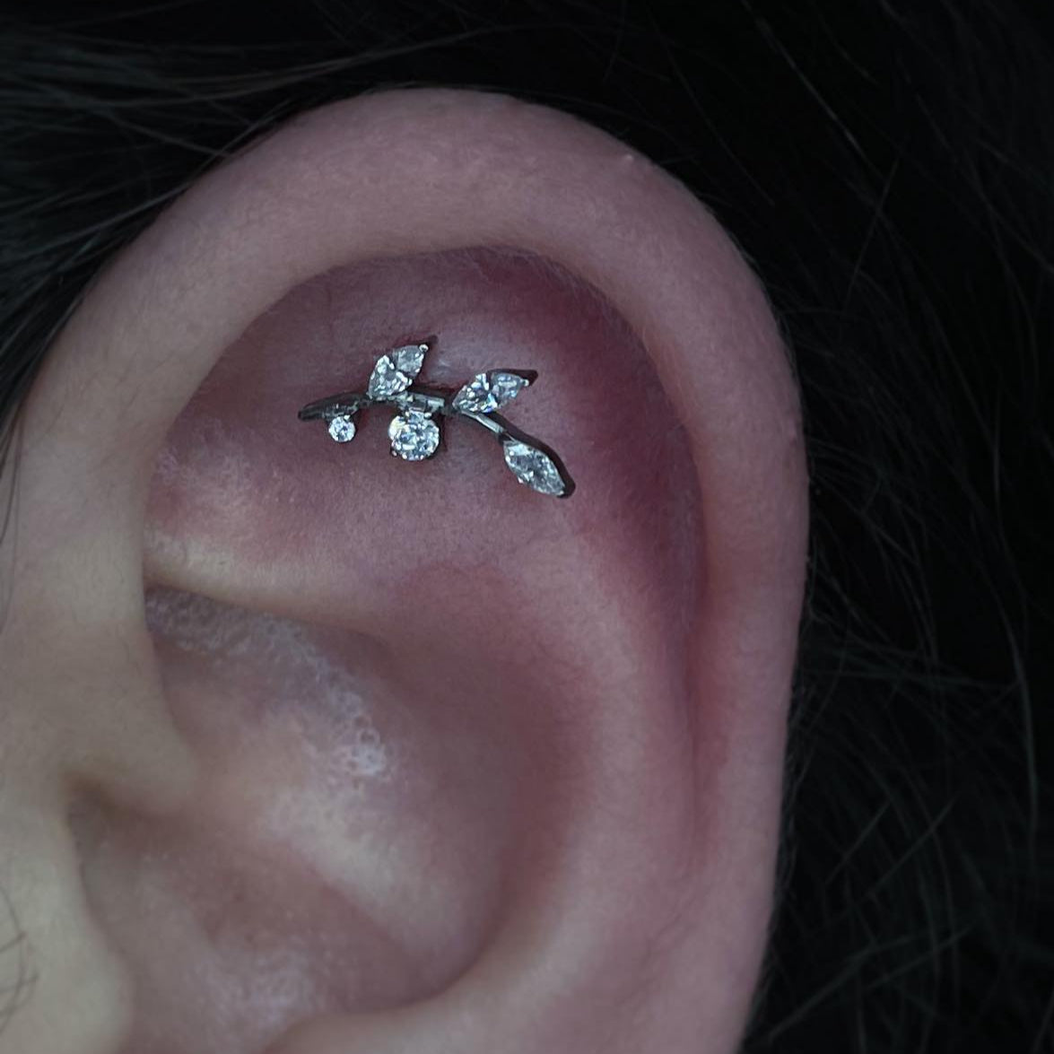G23 Titanium Internally Threaded 5 CZ Leaf Tragus Labret