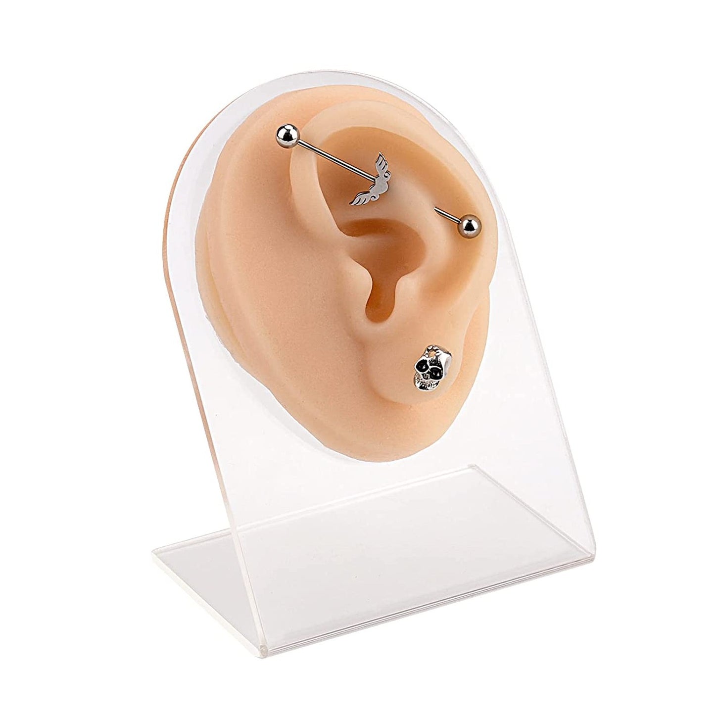 Light Skin Silicone Body Part Display with Stand