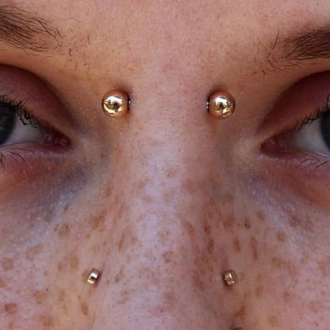16G Rose Gold Ion Plated Tragus Barbell