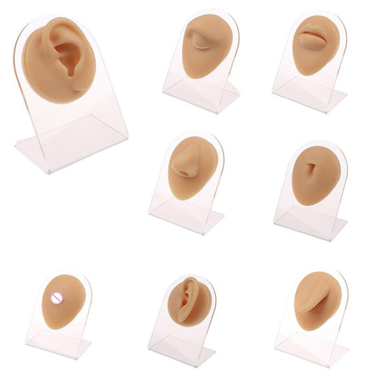 Light Skin Silicone Body Part Display with Stand