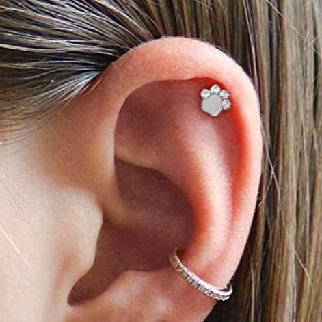 Steel Internally Threaded CZ Paw Tragus Labret