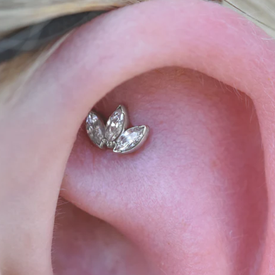 G23 Titanium Internally Threaded Bezel Set 3 Marquise Fan CZ Tragus Labret