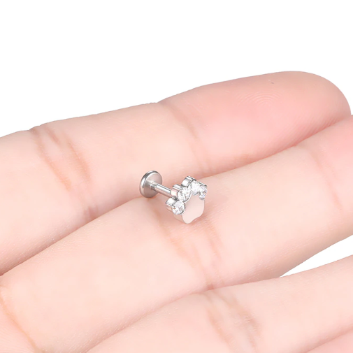 Steel Internally Threaded CZ Paw Tragus Labret