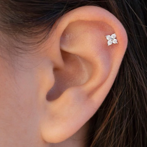 G23 Titanium Internally Threaded 4 CZ Clover Leaf Tragus Labret