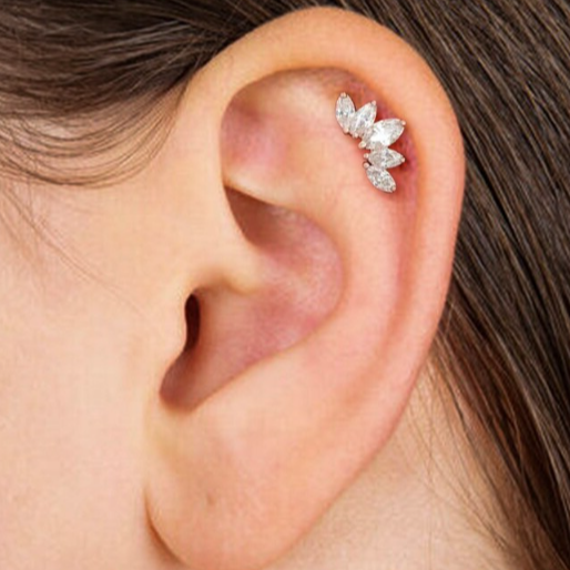 Steel Prong Set 5 Marquise CZ Cluster Ear Tragus Barbell