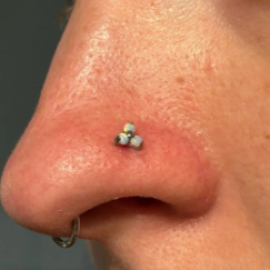 G23 Titanium Prong Set Trinity Opal L Bend Nose Fishtail