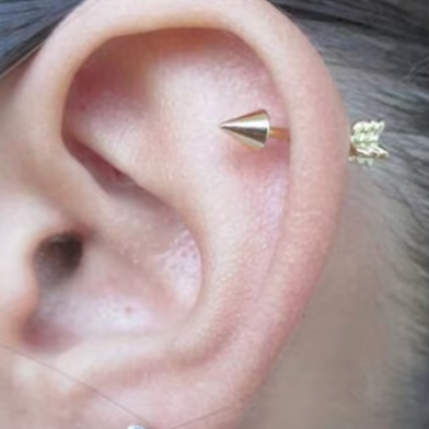 Steel 3D Arrow Tragus Barbell
