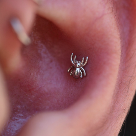 Steel Threadless Push In Spider Top Labret