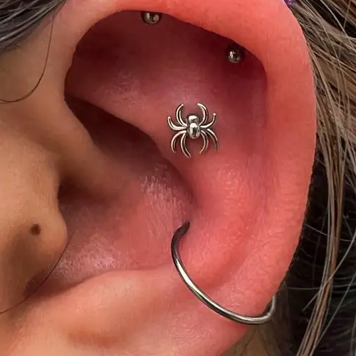 Steel Threadless Push In Spider Top Labret