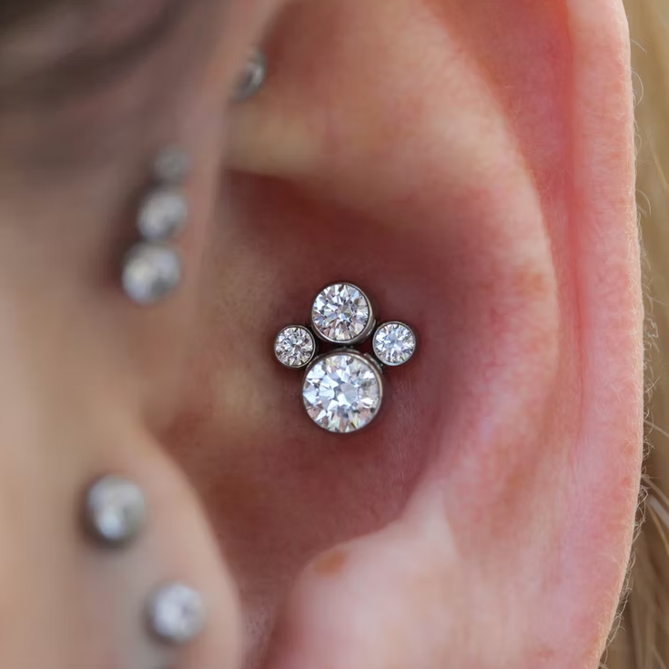 G23 Titanium Internally Threaded Paw CZ Cluster Tragus Labret