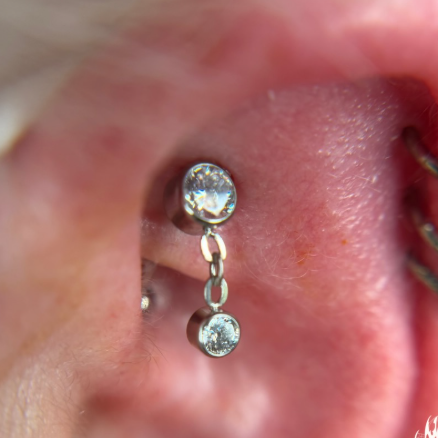 G23 Titanium Internally Threaded Dangle CZ Curved Barbell