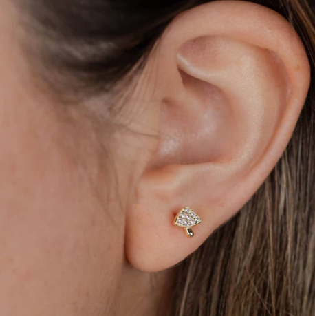 G23 Titanium Internally Threaded CZ Mushroom Labret